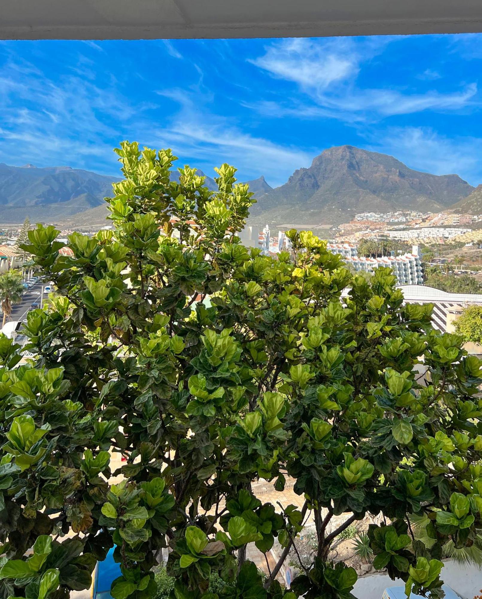 Tenerife Paradise Anna Studio Costa Adeje  Eksteriør bilde