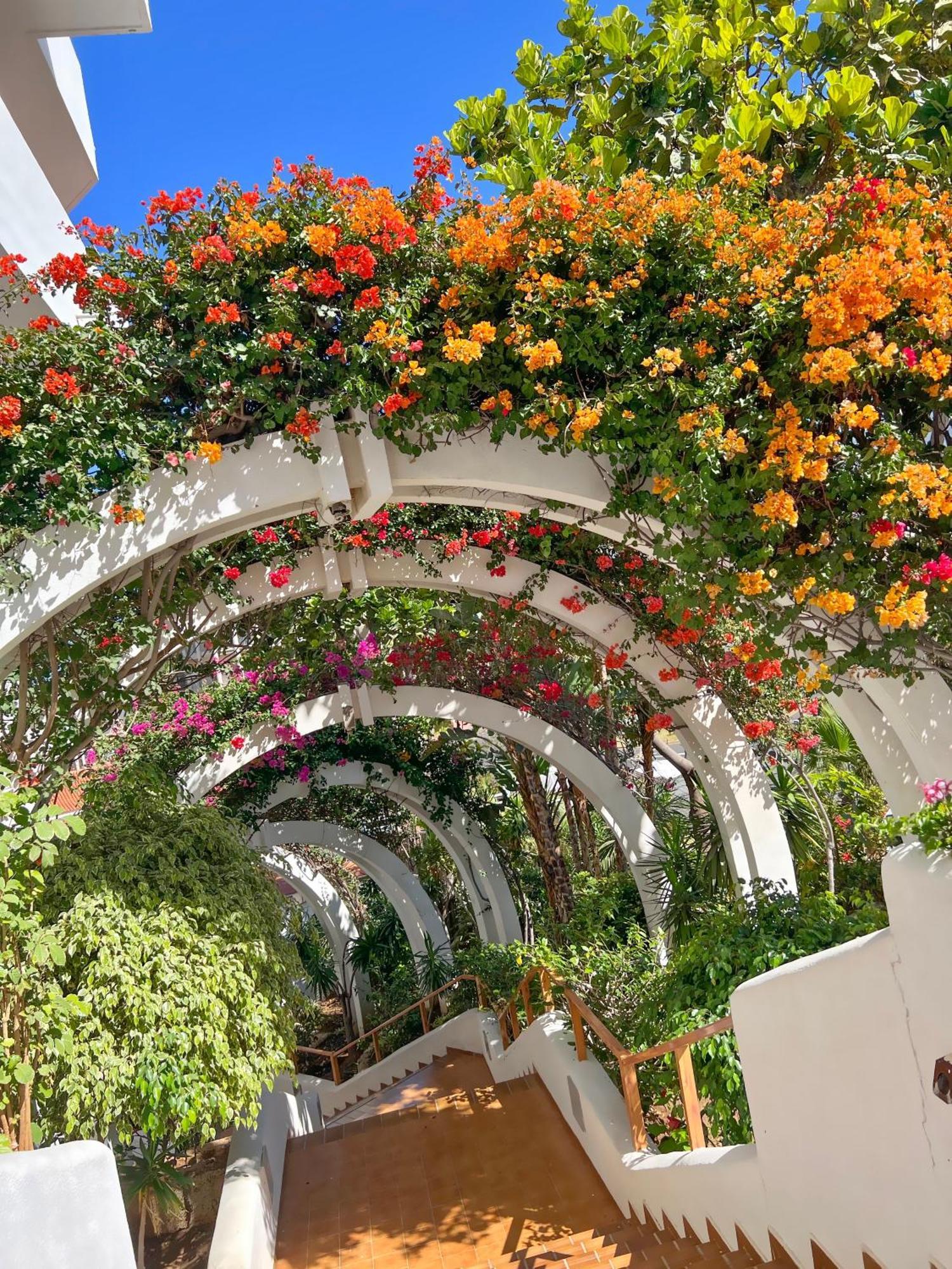 Tenerife Paradise Anna Studio Costa Adeje  Eksteriør bilde